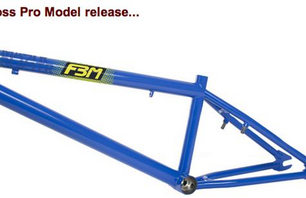 Aaron Ross Signature frame!