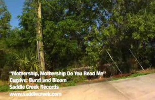 Tom Haugen - Merrit Island Skatepark