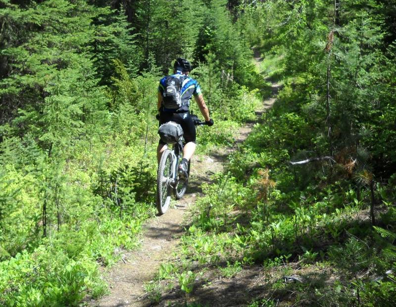 Tour Divide Mountain Bike Race