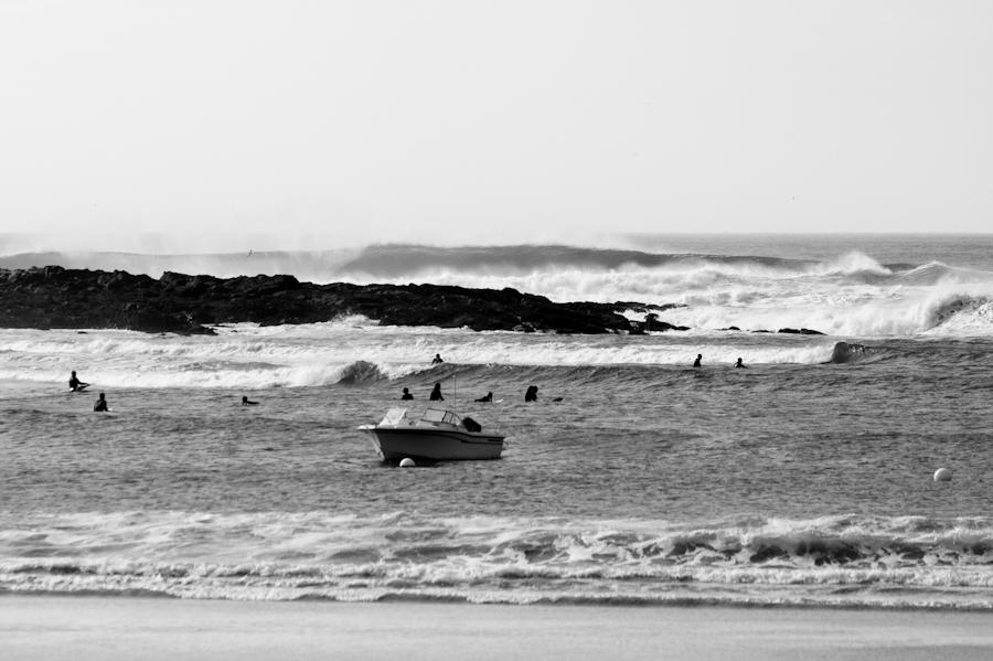 Nick LaVecchia Portfolio
