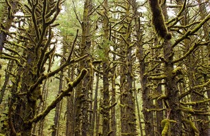 Nick LaVecchia\'s Alaska