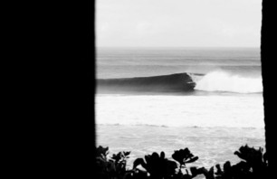 Nick LaVecchia\'s Backdoor
