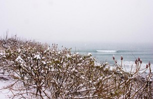 Nick LaVecchia\'s Winter