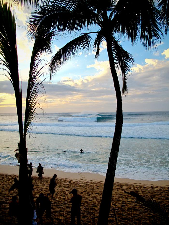 Hawaii Unleashed