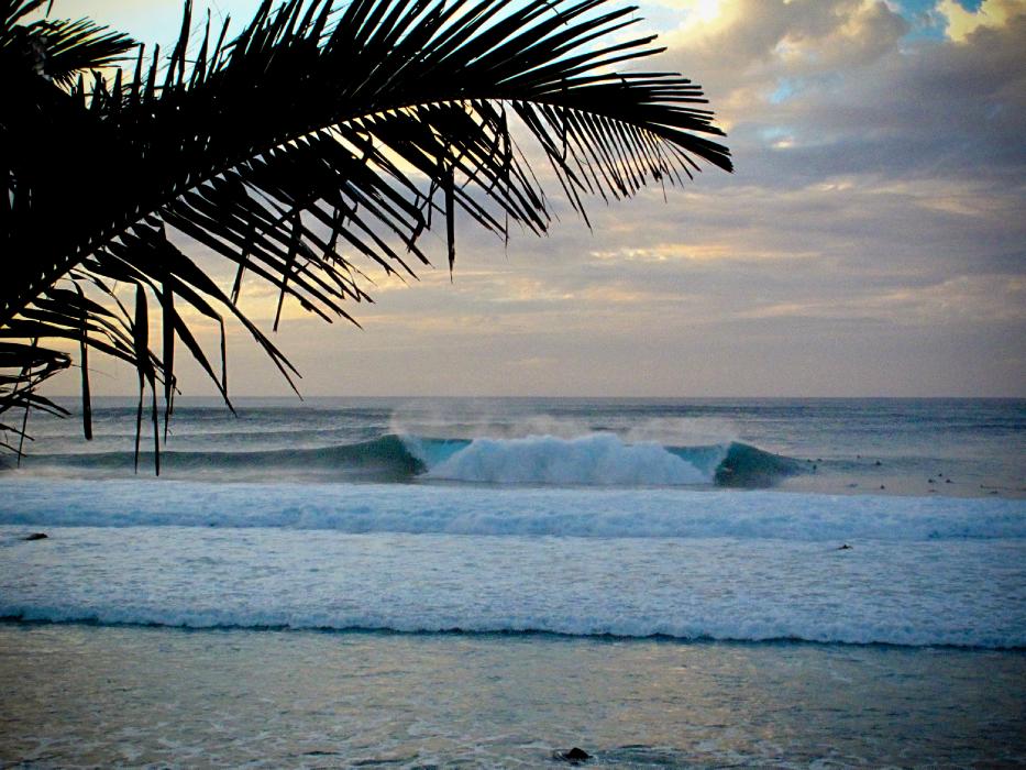 Hawaii Unleashed