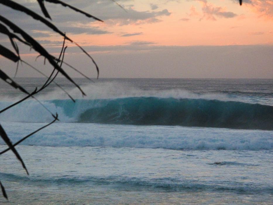 Hawaii Unleashed