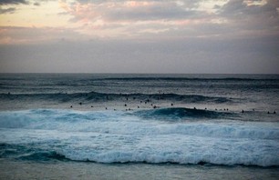 Lineup