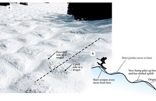 Skiing Physics: How Moguls Work
