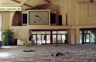 Mike Tyson\'s Abandoned Ohio Mansion