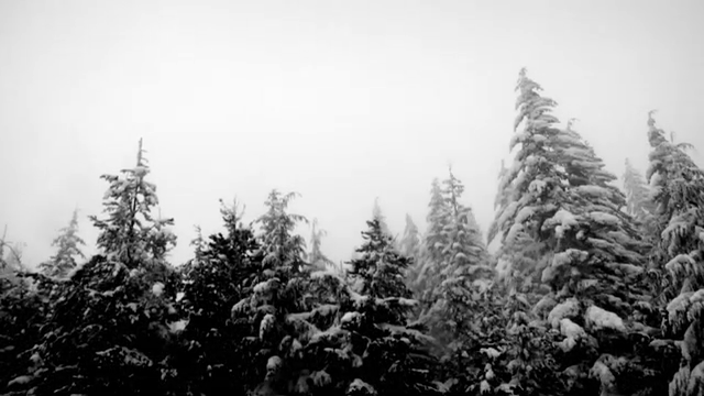 ski bowl