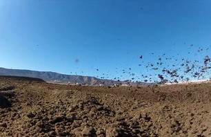 Racer X Films: Lake Elsinore