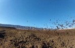 Racer X Films: Lake Elsinore