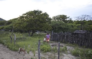 Mainland Mexico Locals