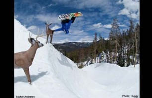 Snowboarder Mag\'s The Launch Presented by Rip Curl