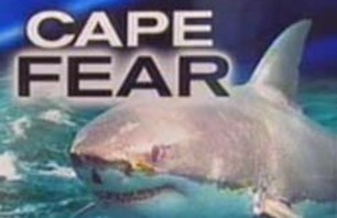 Shark Cape Fear