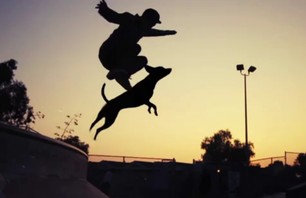 Dogboarding Goes Viral