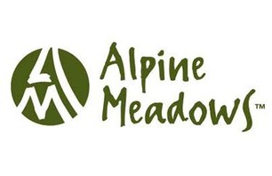 Snowboarder Missing at Alpine Meadows