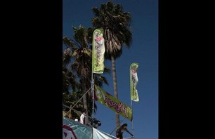 Supergirl Venice - Snowboard Rail Jam Photo 0014