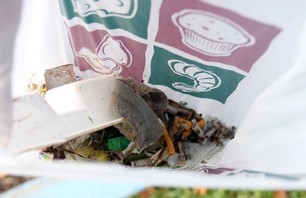 Anastasia Ashley\'s North Shore Beach Clean-Up