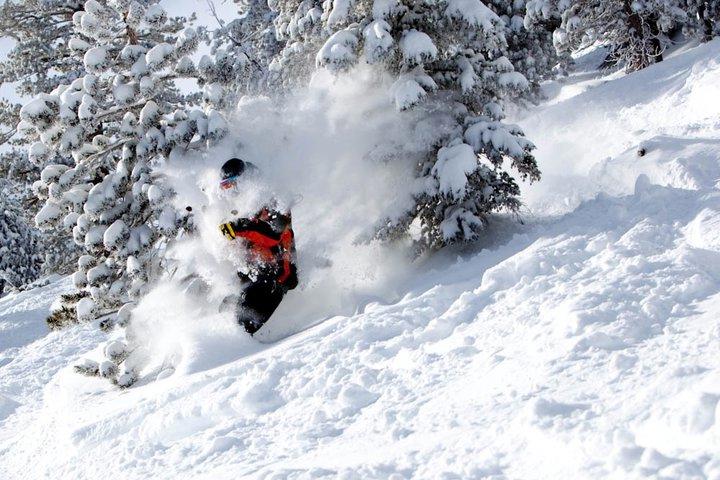 Mammoth Unbound Pow Day - January 4th
