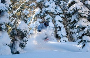 Mammoth Pow Gallery Nov 24