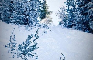 Mammoth Pow Gallery Nov 24