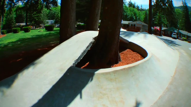 Windell\'s Concrete Jungle