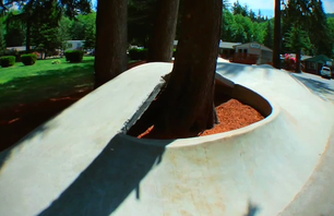Windell\'s Concrete Jungle
