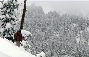 Bear Mountain Pow - Part 2