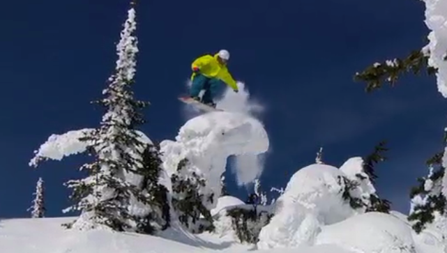 Whitefish Mountain Session with Arbor