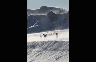 Mammoth Wind