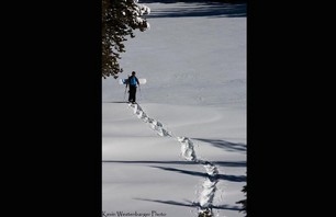Mammoth Benchetler hiking