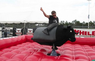 Matador Nascar Taylor Formula 1