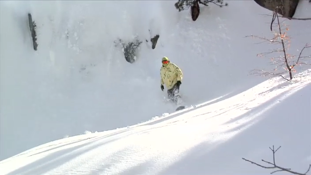 Bear Mountain Pow