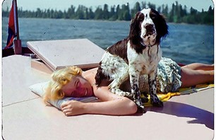 Vintage Summer