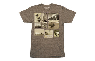 Exposure Tee