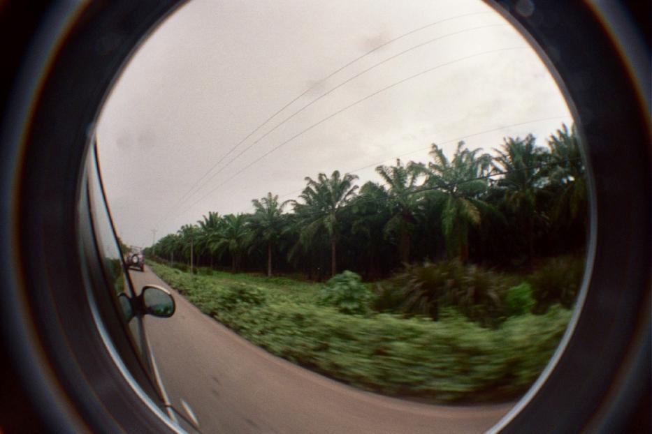 Costa Rica Photo Dispatch