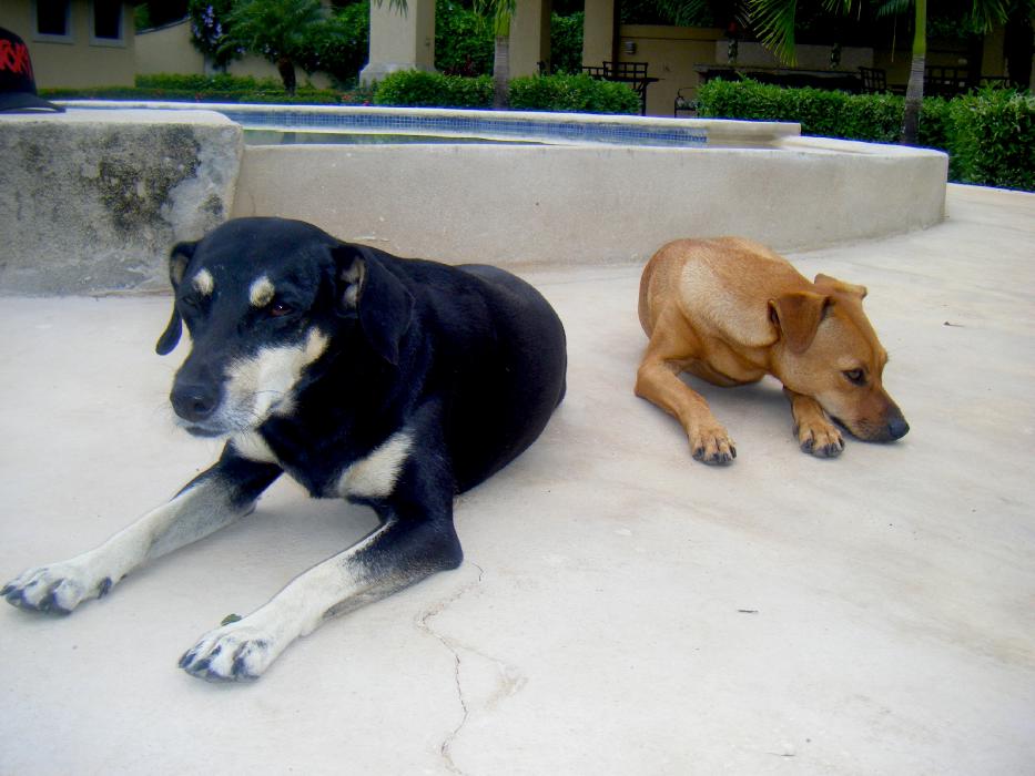 Costa Rica Photo Dispatch