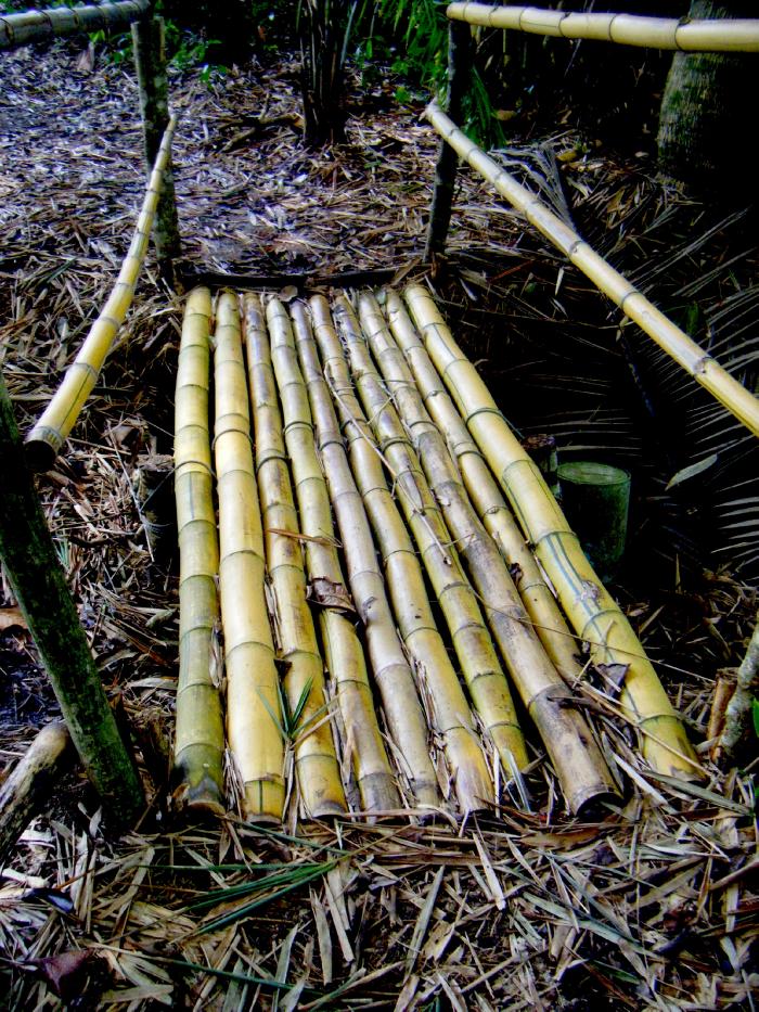 Costa Rica Photo Dispatch