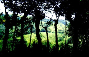 Costa Rica Photo Dispatch Photo 0018