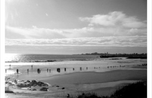Santa Cruz\'n