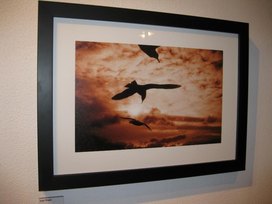 Analog PLA Photo Show