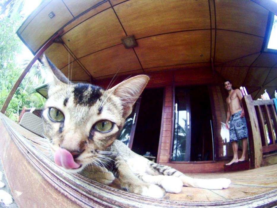 Indo Photo Dispatch