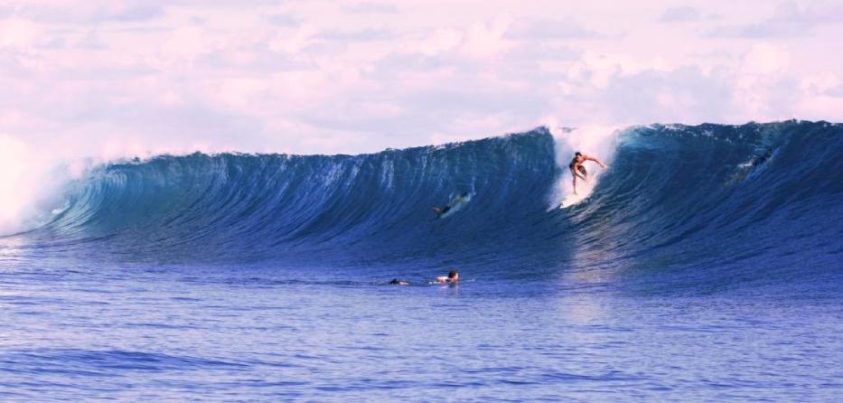 Indo Photo Dispatch