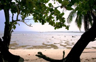 Indo Photo Dispatch Photo 0015