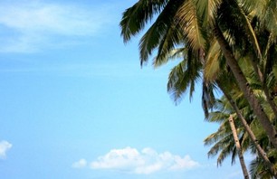 Indo Photo Dispatch Photo 0020