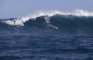 Kai Laird Jaws