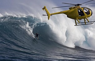 Jaws Gallery!