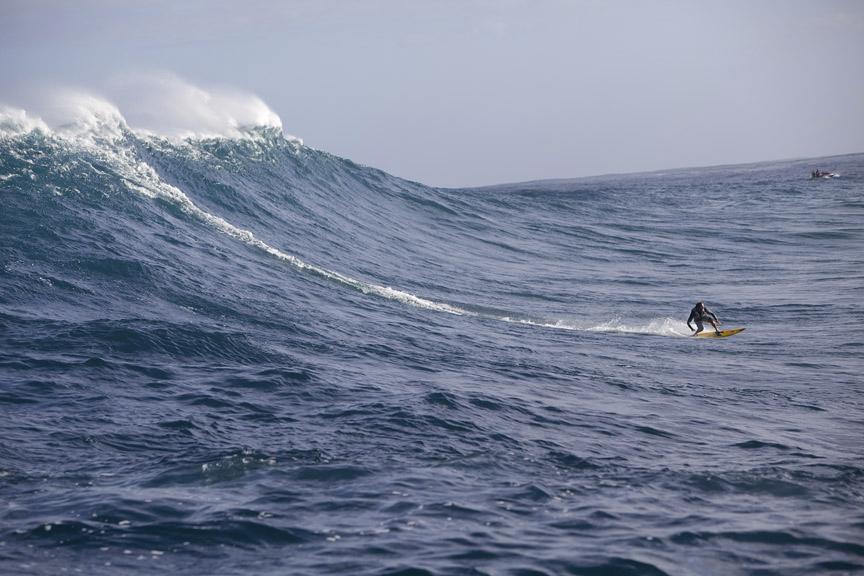 Jaws Gallery!