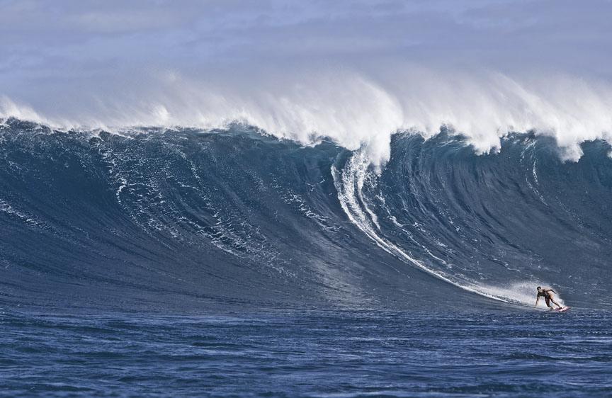 Jaws Gallery!